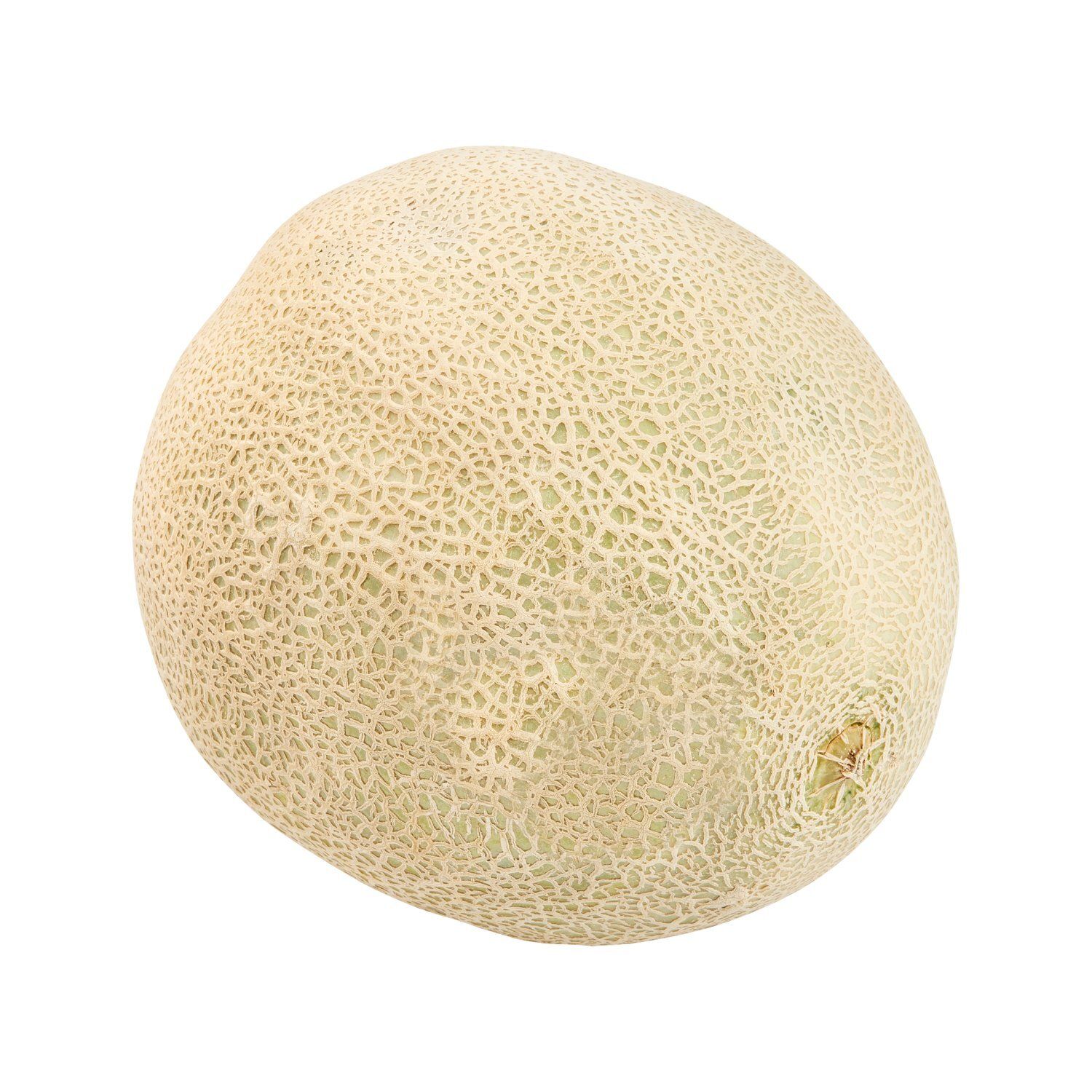 Fresh Cantaloupe, each