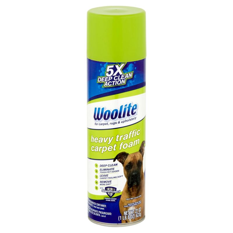 Woolite Heavy Traffic Carpet Foam, 22 oz