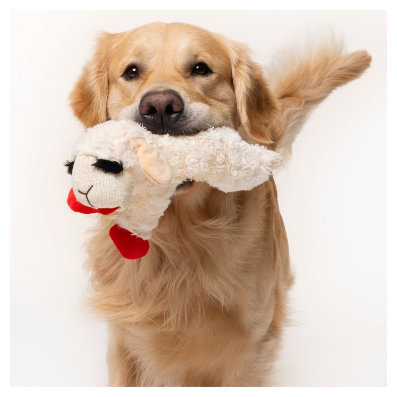 Lamb Chop Dog Toy