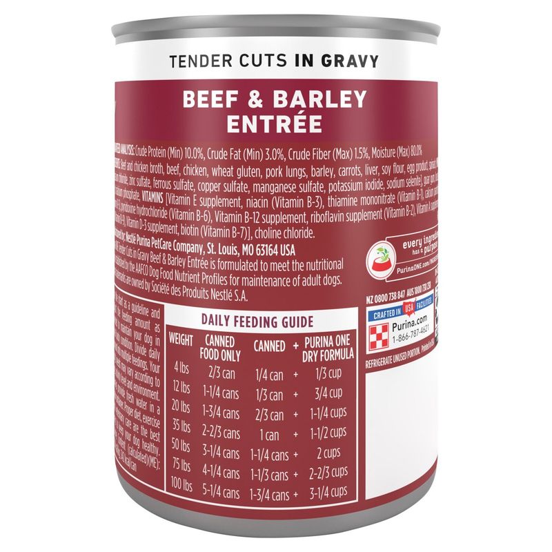 Purina ONE Tender Cuts in Gravy Beef &amp; Barley Entrée Adult Dog Food, 13 oz
