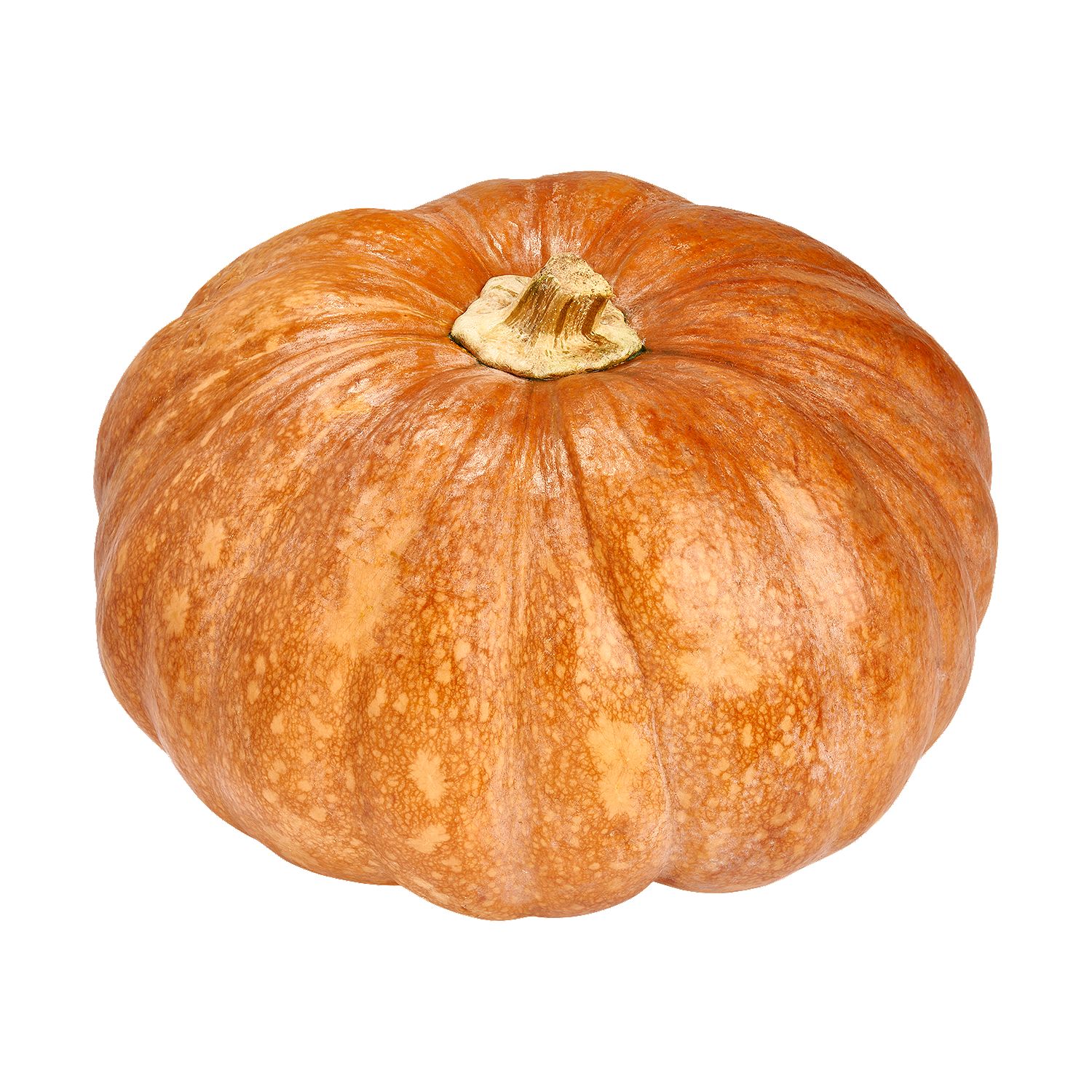 Fresh Calabaza