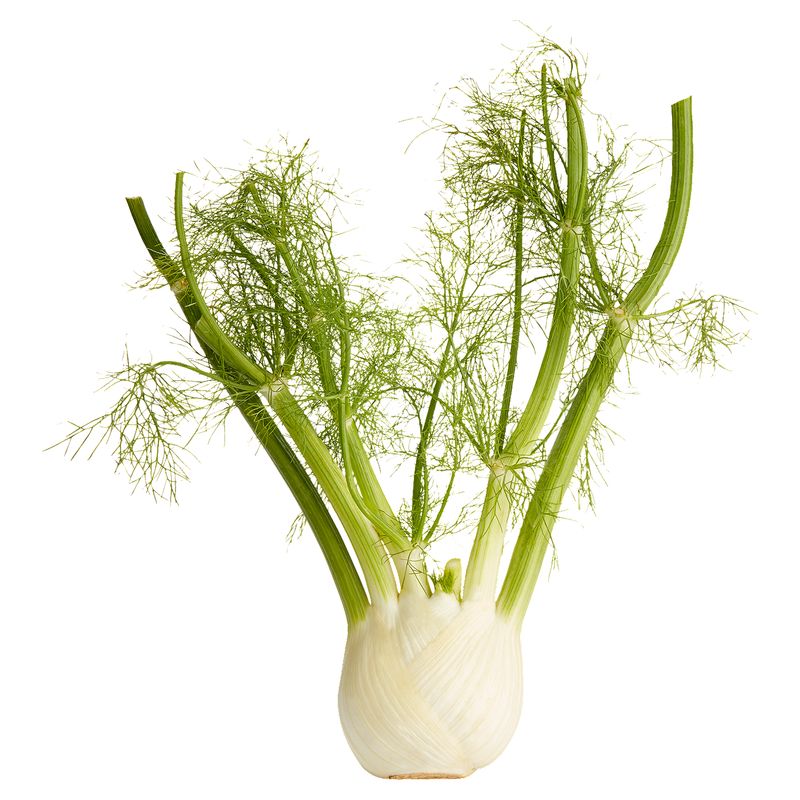 Fresh Anise Florence/Sweet Fennel/Fennel, each