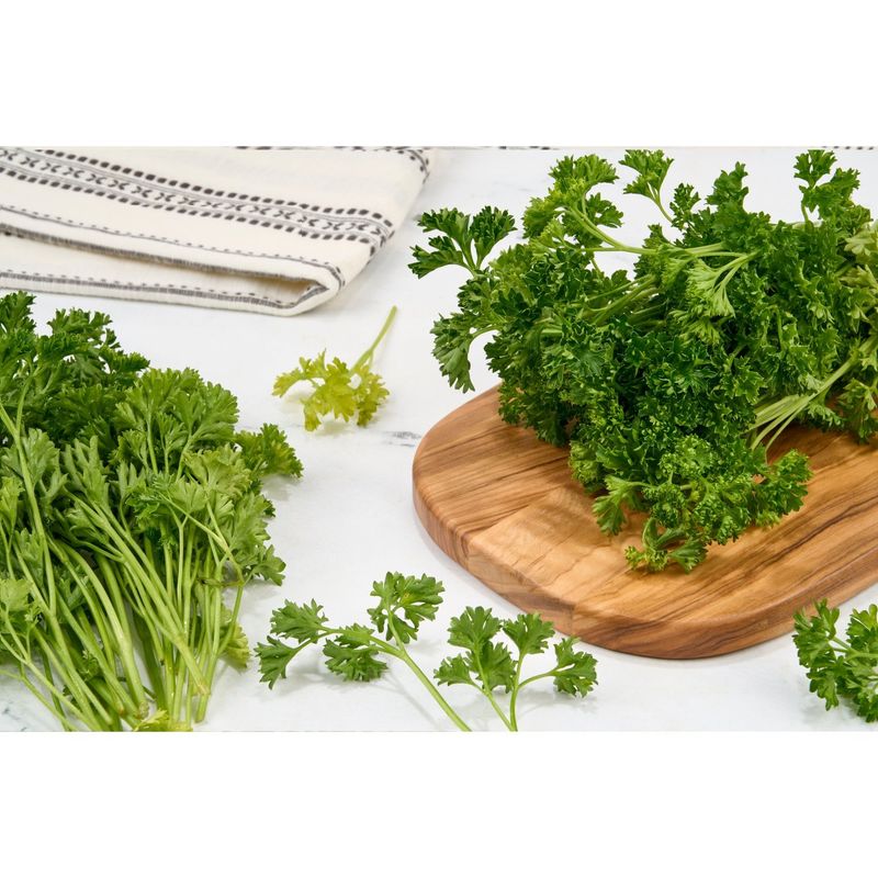 Fresh Plain Parsley, bunch