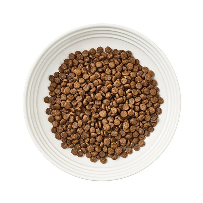 Reveal Grain Free Chicken Recipe Adult Complete Cat Food, 3 lb