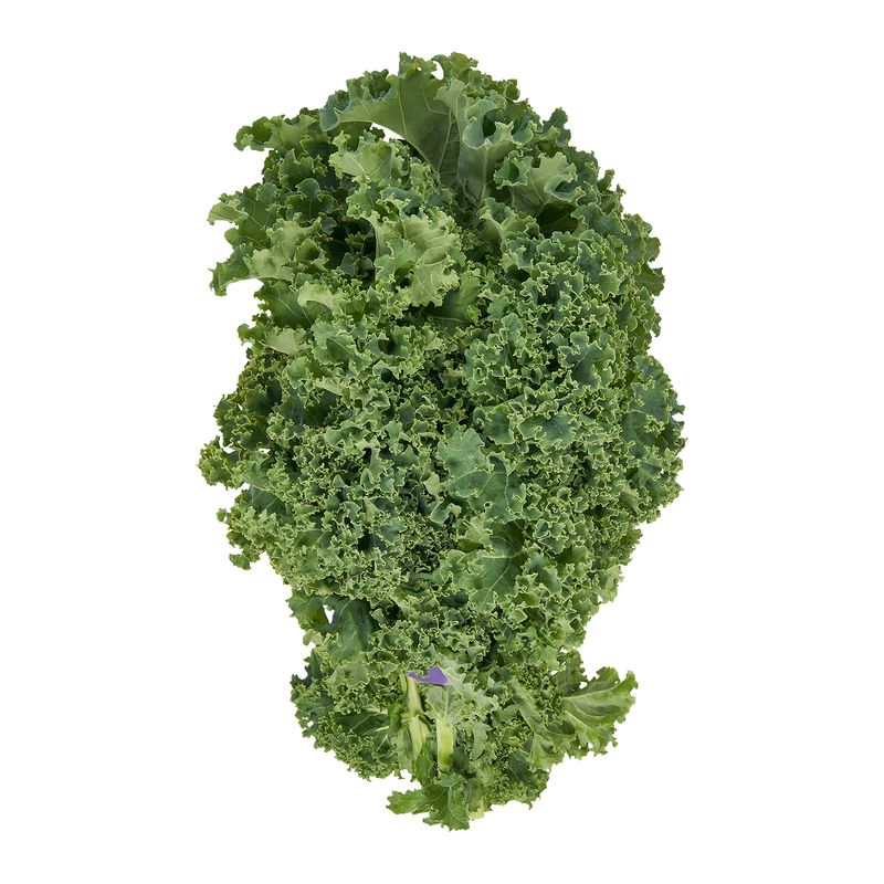 Fresh Organic Green Kale, bunch