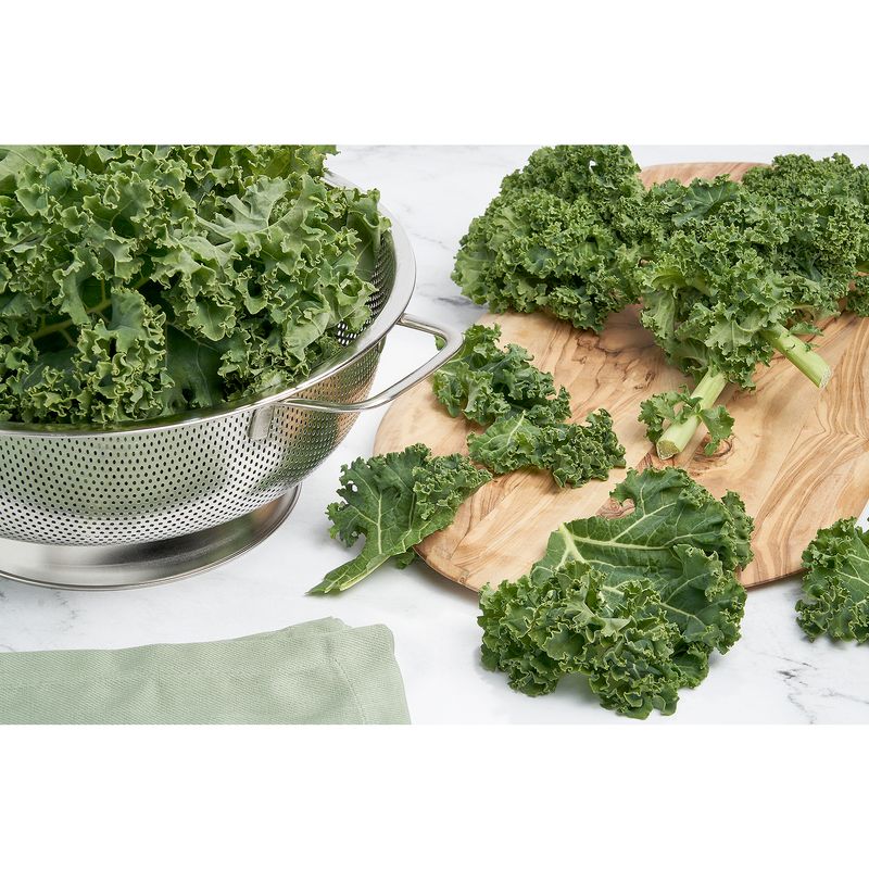 Fresh Organic Green Kale, bunch