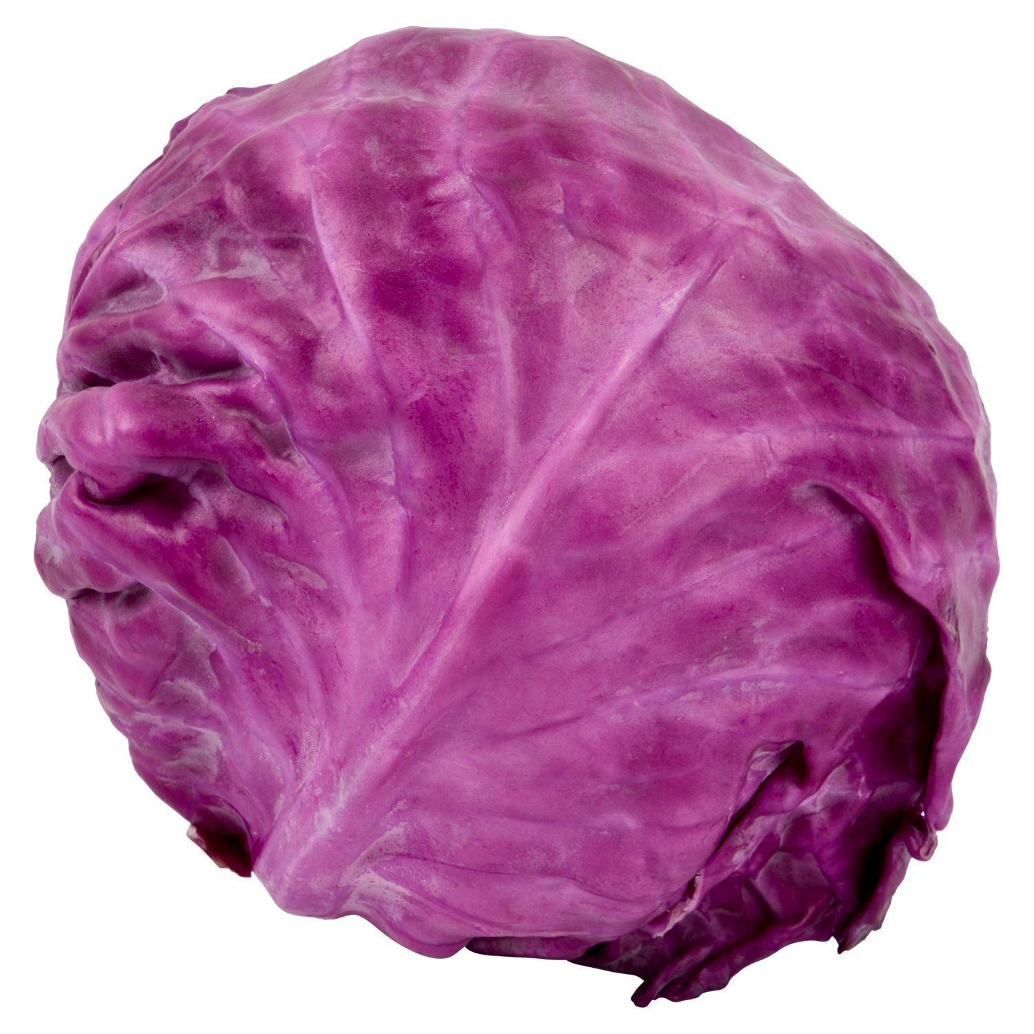 Fresh Organic Red Cabbage