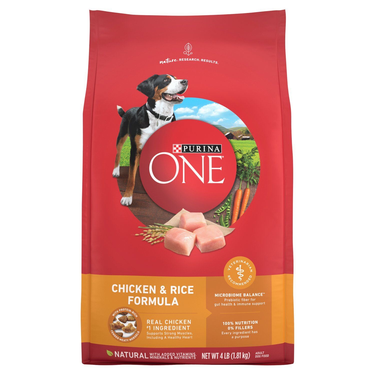 Purina ONE Chicken &amp; Rice Formula Adult Dog Food, 4 lb