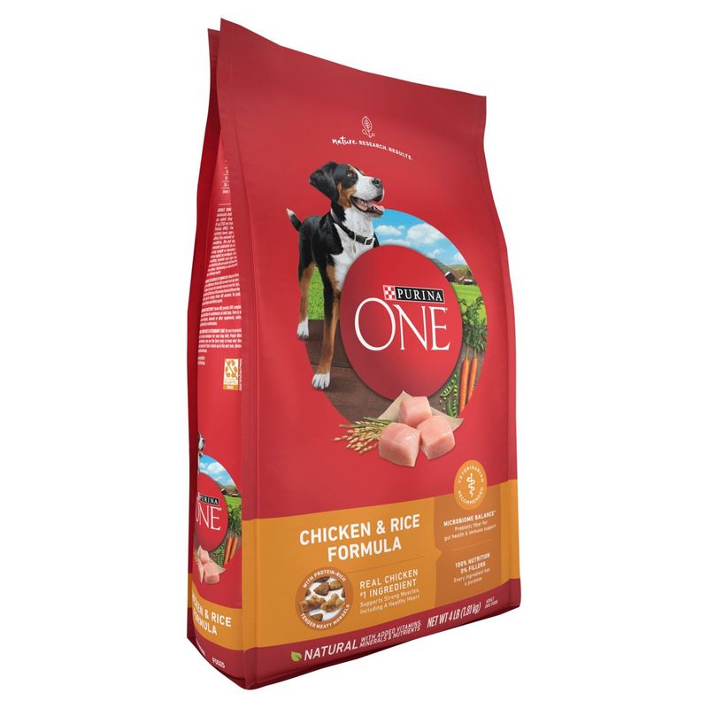 Purina ONE Chicken &amp; Rice Formula Adult Dog Food, 4 lb