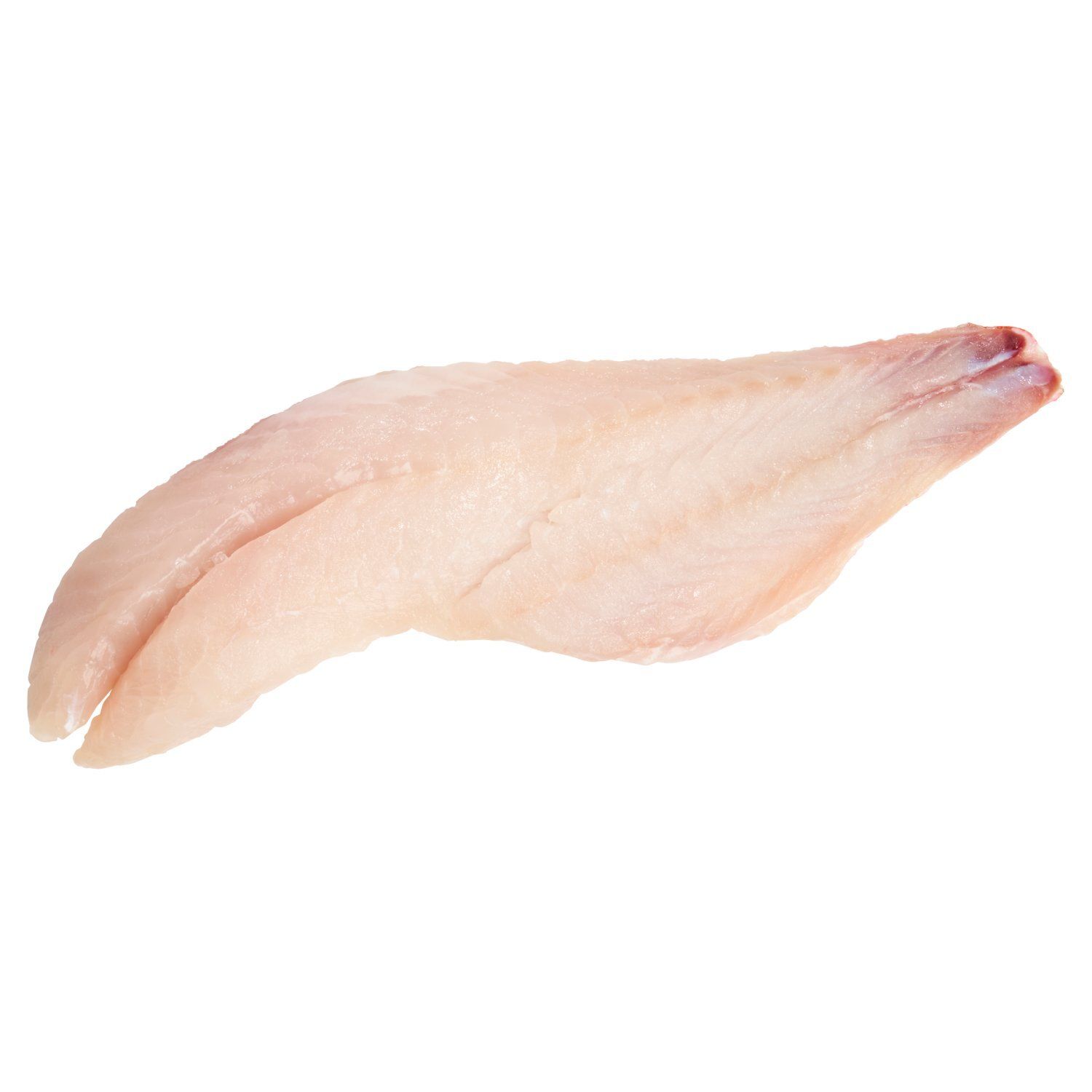 Wild Caught Fresh Ocean Perch Fillet
