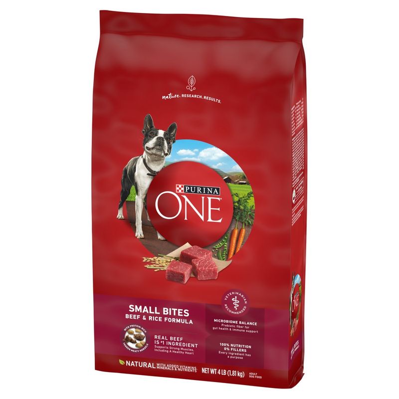Purina ONE Small Bites Beef &amp; Rice Formula Adult Dog Food, 4 lb