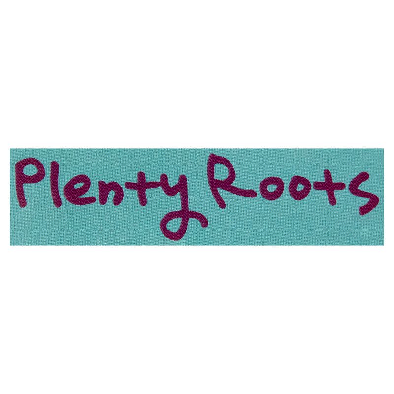 Sinto Gourmet Plenty Roots Kimchi, 14 oz