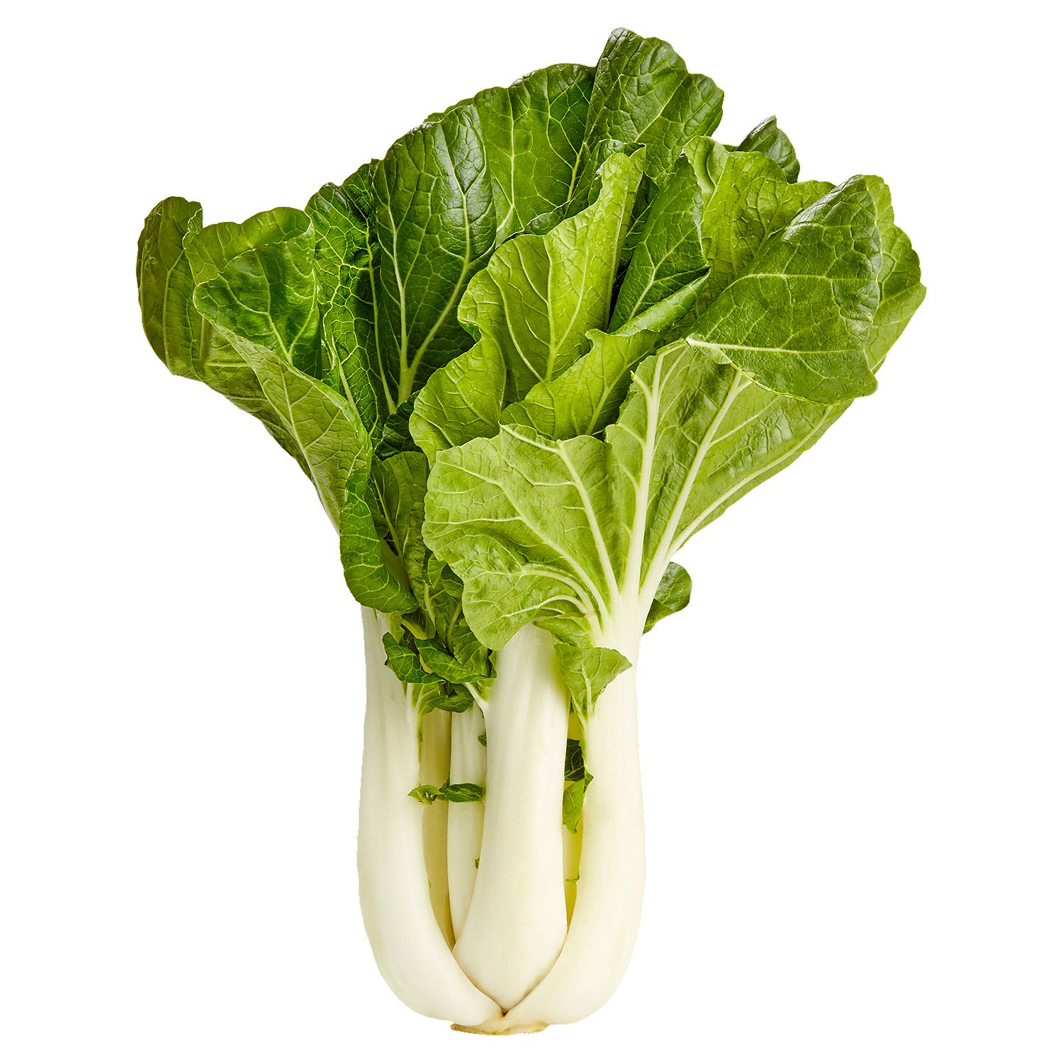 Fresh Bok Choy