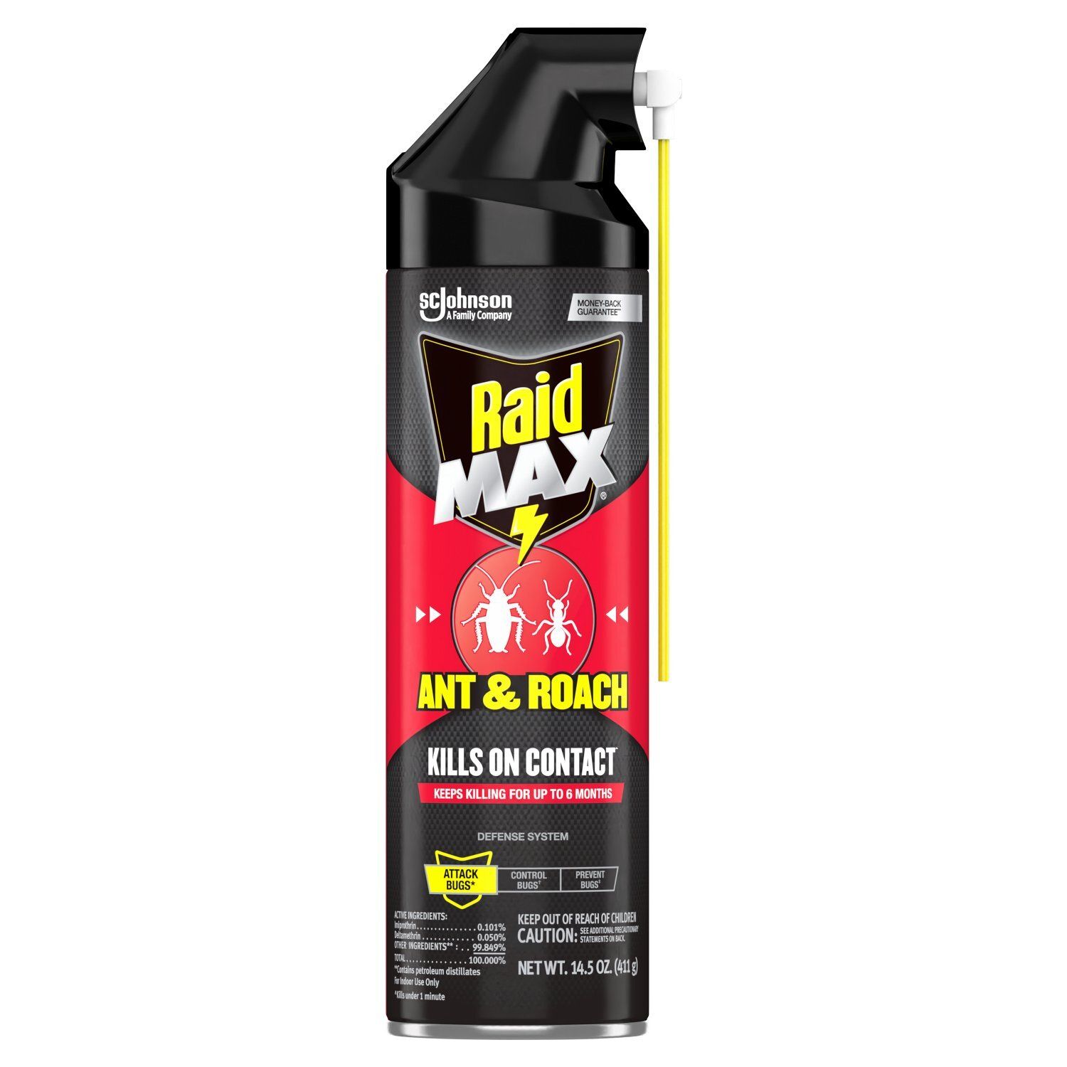 Raid Max Ant &amp; Roach Spray, 14.5 oz
