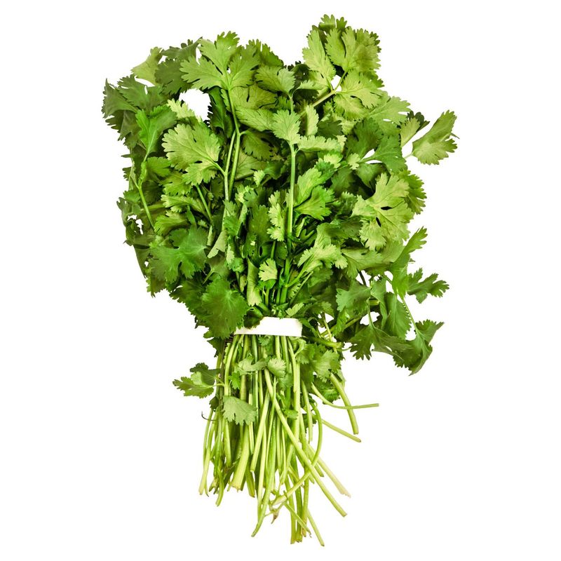 Fresh Cilantro, bunch