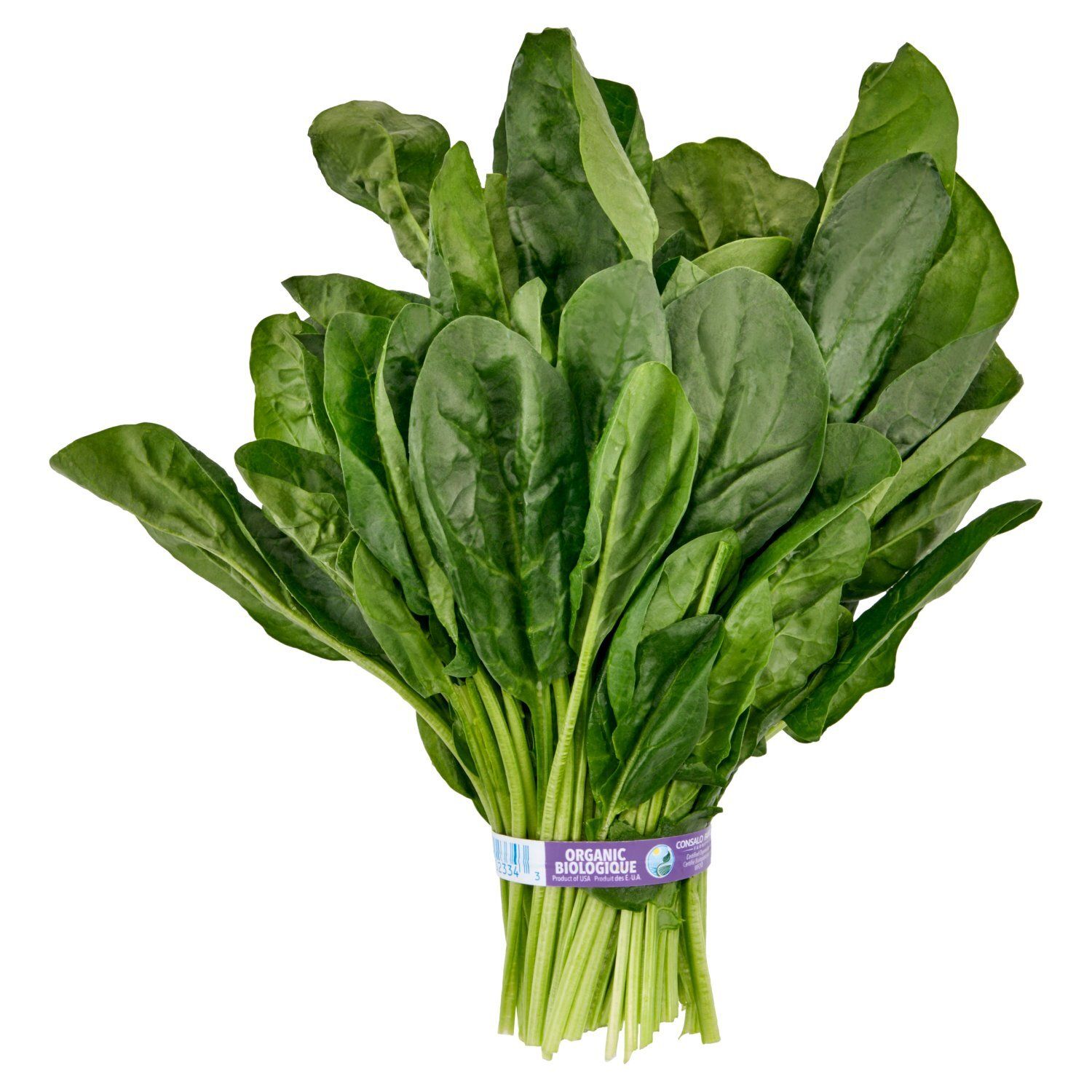 Fresh Organic Spinach, bunch