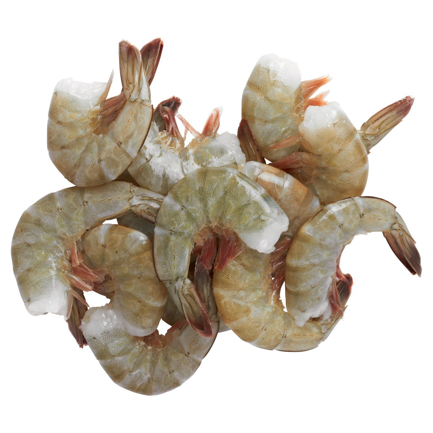 Fresh Ecuador Shrimp, Farm Raised, Extra Large, 26 - 30 shrimp per pound