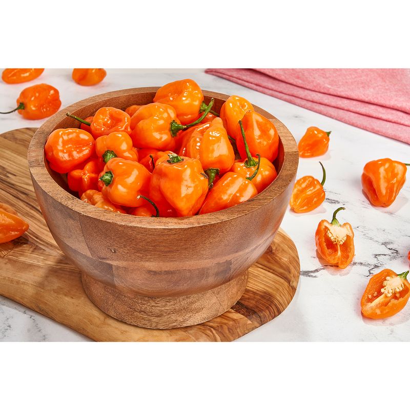 Fresh Habanero Pepper