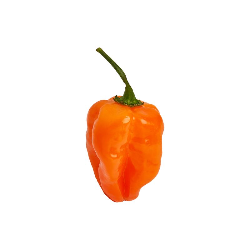 Fresh Habanero Pepper