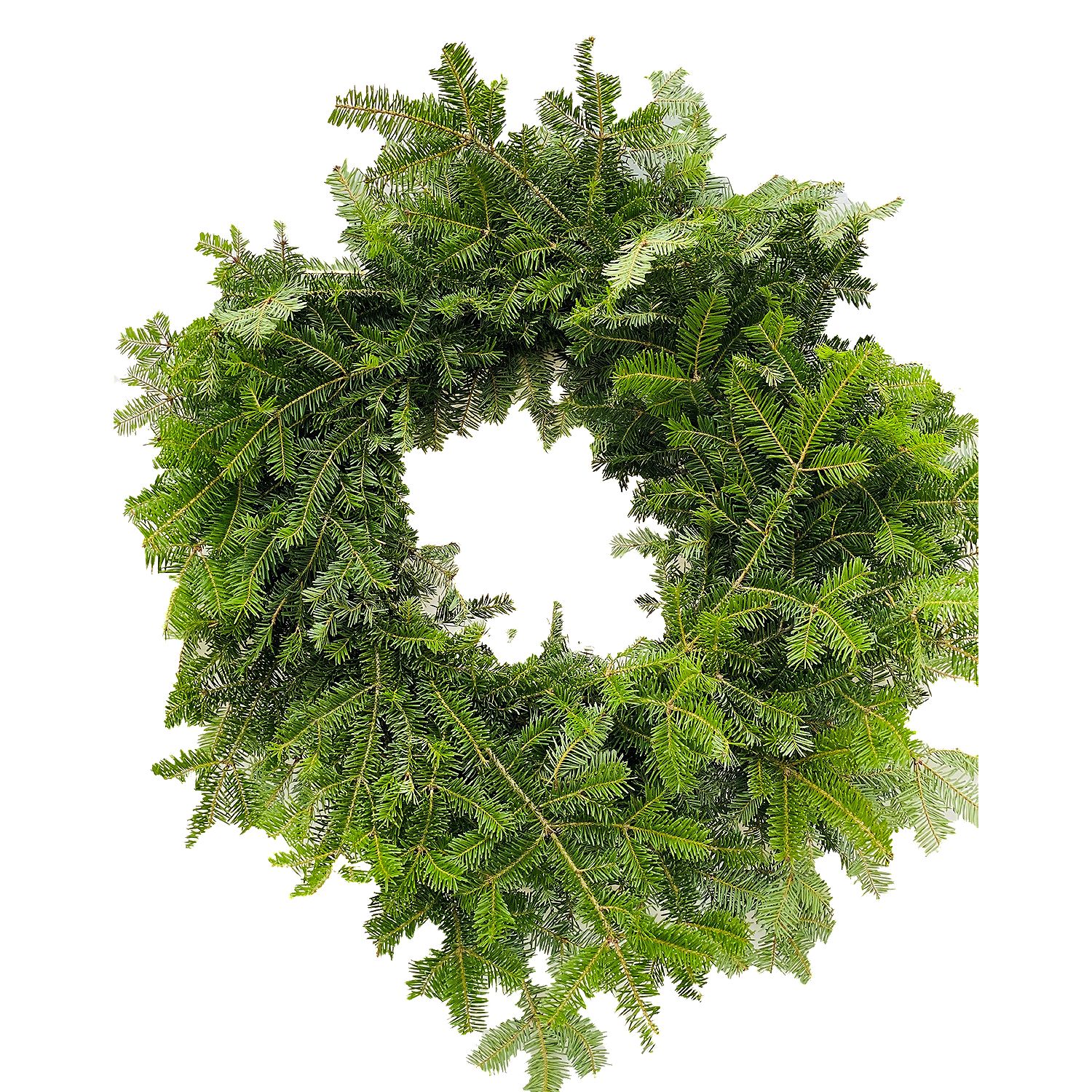 The Floral Shoppe Decorative Holiday Greens - 22" Balsam Fir Wreath, each