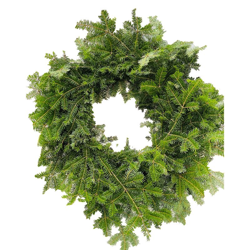 The Floral Shoppe Decorative Holiday Greens - 22" Balsam Fir Wreath, each