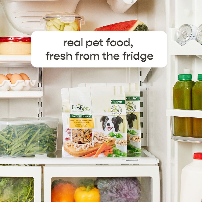 Freshpet Fresh from the Kitchen Home Cooked Chicken Recipe Dog Food, 4.5 lb