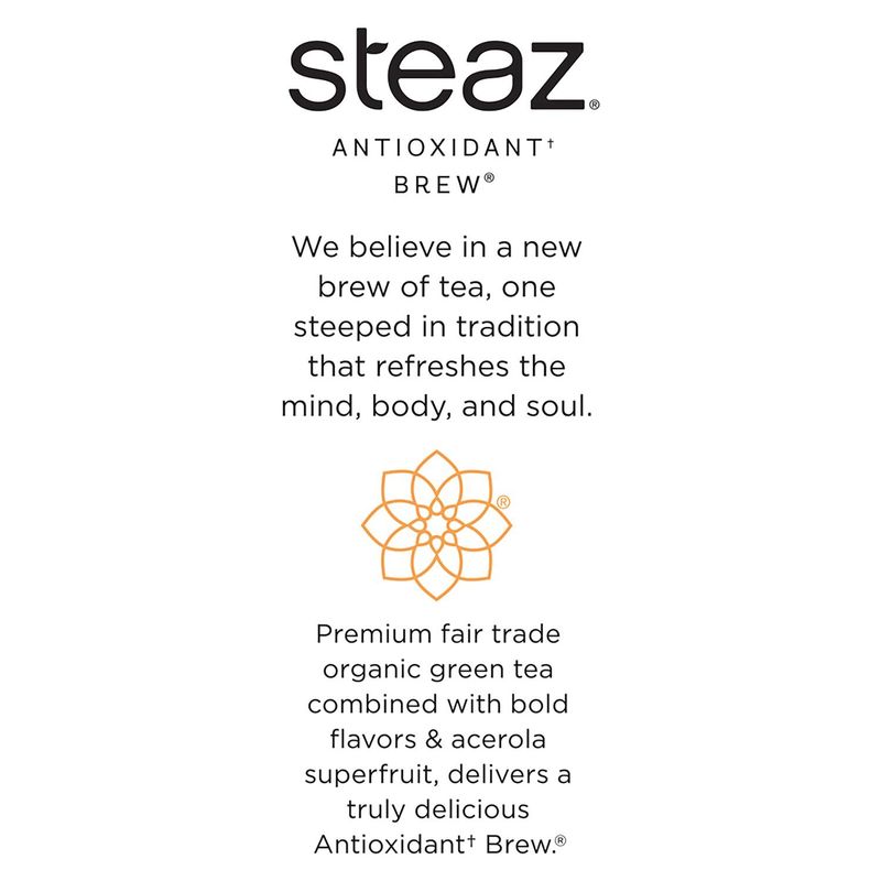 Steaz Antioxidant Brew Zero Calorie Peach Mango Flavored Organic Green Tea, 16 fl oz