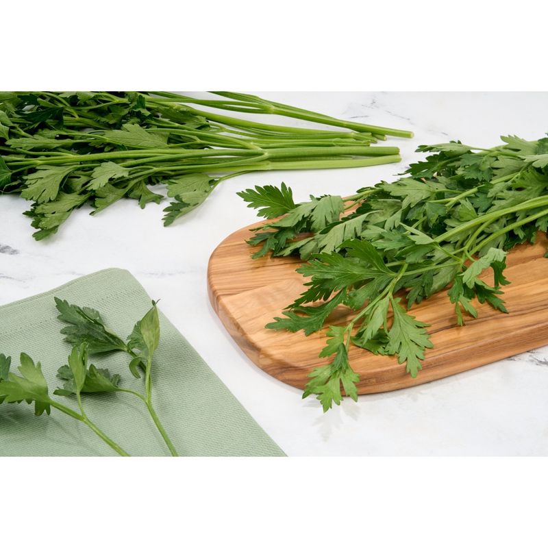 Fresh Organic Italian Parsley, bunch