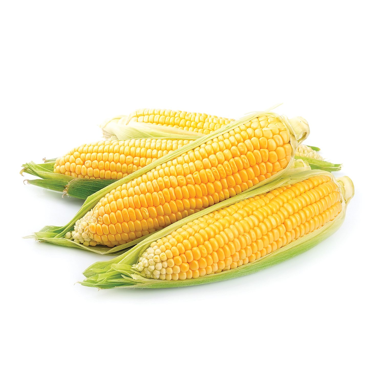 Fresh Bi-Color Corn, 4 ct