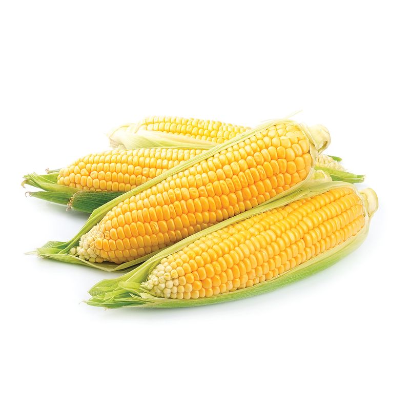 Fresh Bi-Color Corn, 4 ct