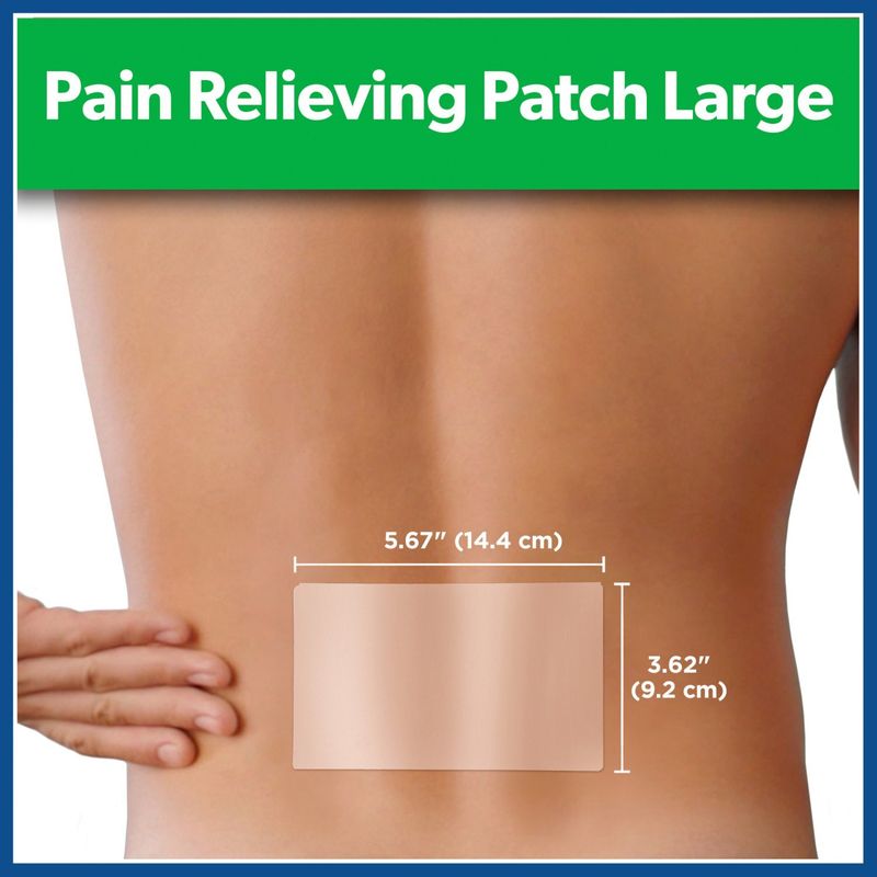 Salonpas Pain Relieving Patch, 8-Hour Pain Relief - 6 Large Patches