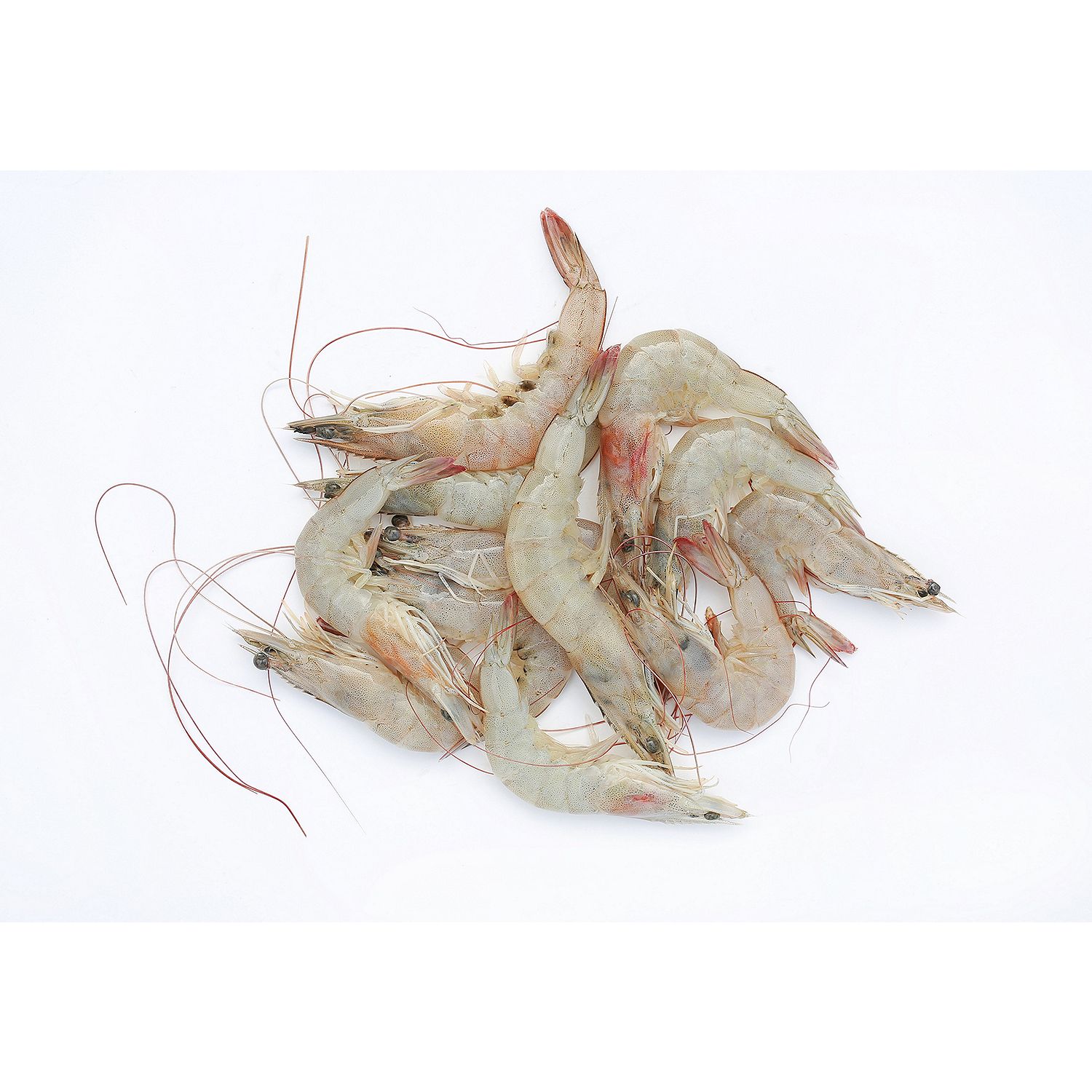 Farm Raised Fresh Shrimp, Heads On, 1 pound