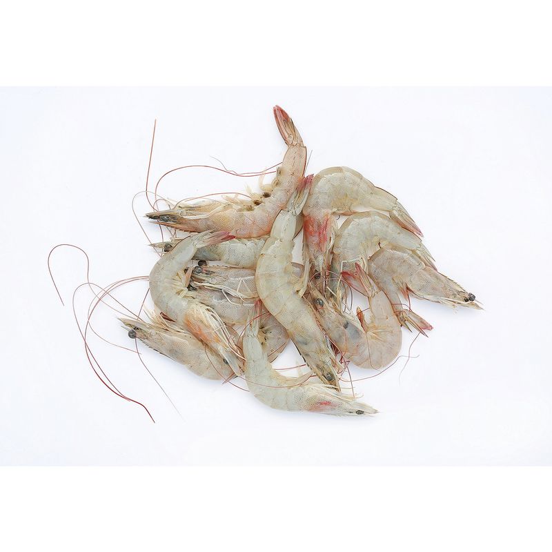 Farm Raised Fresh Shrimp, Heads On, 1 pound