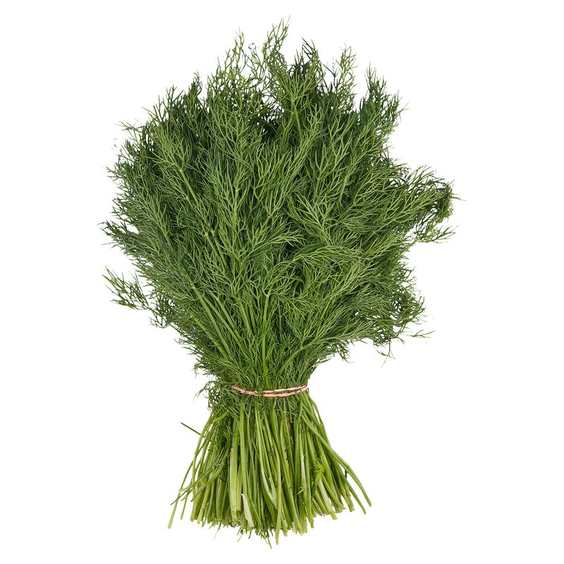 Fresh Organic Dill, bunch