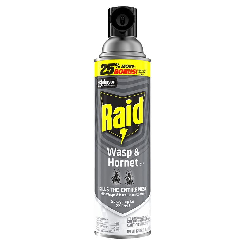 Raid Wasp &amp; Hornet Killer, Outdoor Flying Insect Spray, 17.5 oz