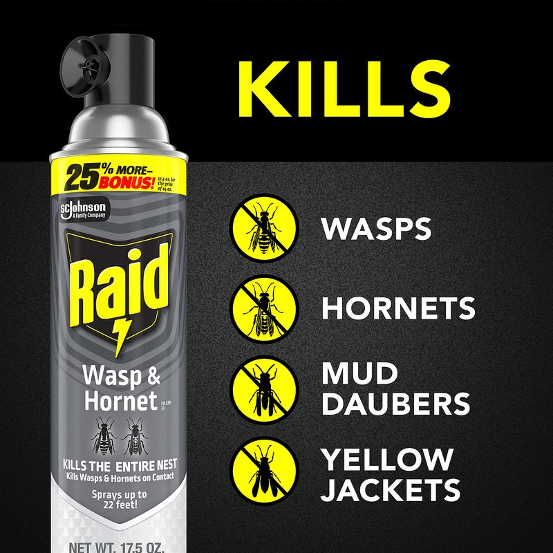 Raid Wasp &amp; Hornet Killer, Outdoor Flying Insect Spray, 17.5 oz