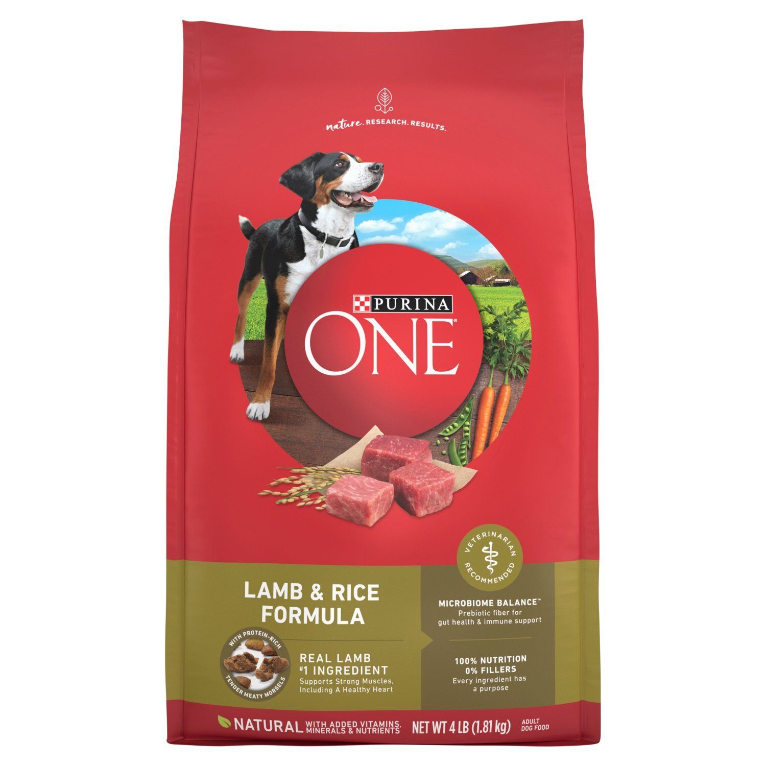 Purina ONE Lamb &amp; Rice Formula Adult Dog Food, 4 lb