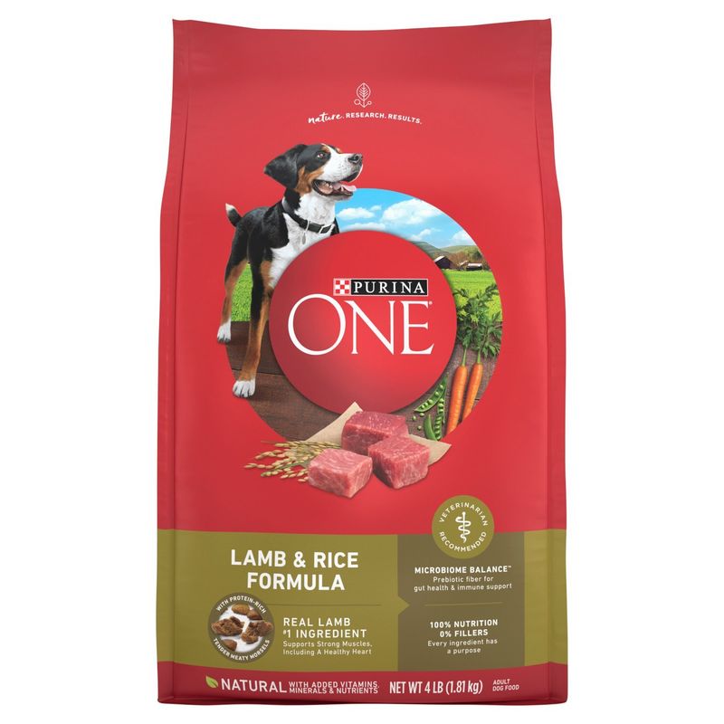 Purina ONE Lamb &amp; Rice Formula Adult Dog Food, 4 lb