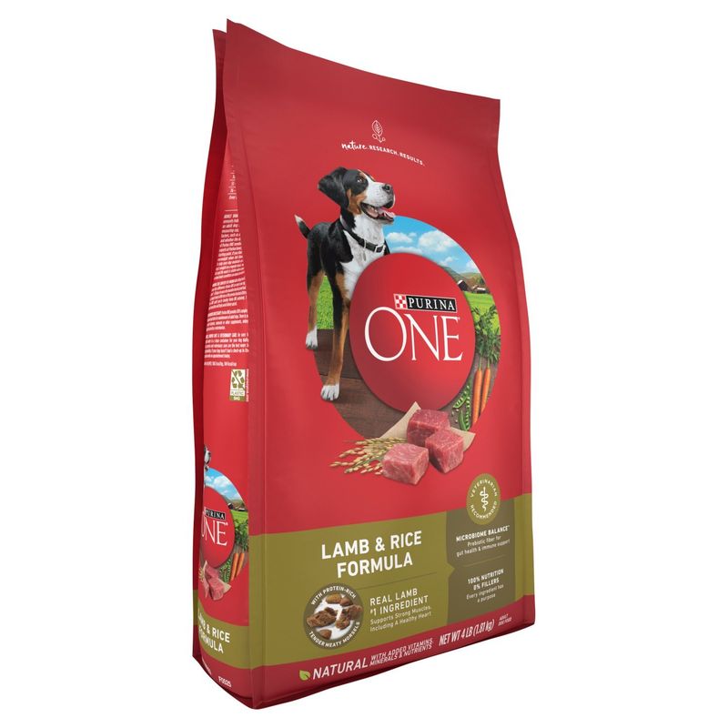 Purina ONE Lamb &amp; Rice Formula Adult Dog Food, 4 lb