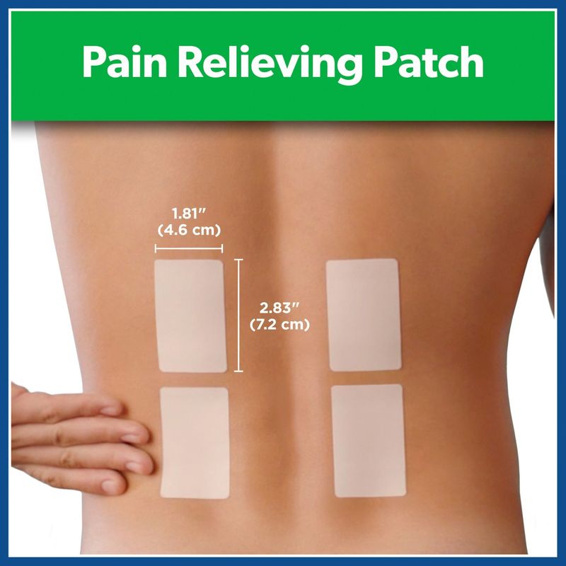 Salonpas Pain Relieving Patch, 8-Hour Pain Relief - 60 Patches