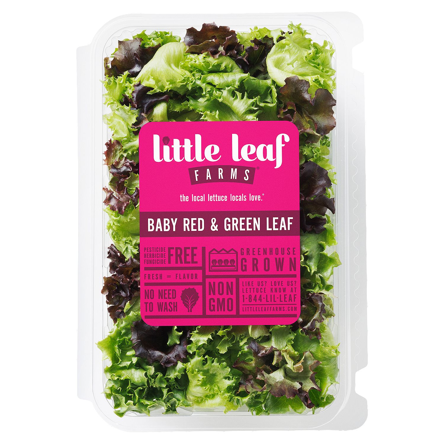 Little Leaf Farms Baby Red &amp; Green Leaf, 8 oz