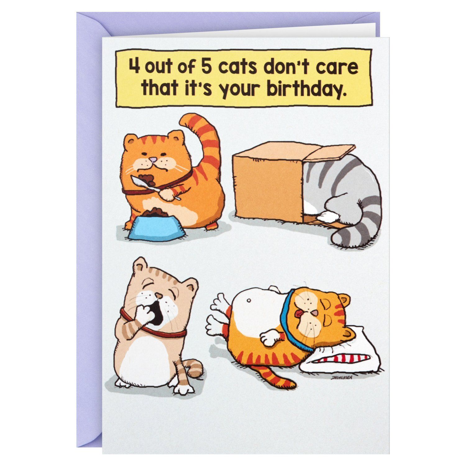 Hallmark Shoebox Funny Birthday Card (Cats Don't Care)