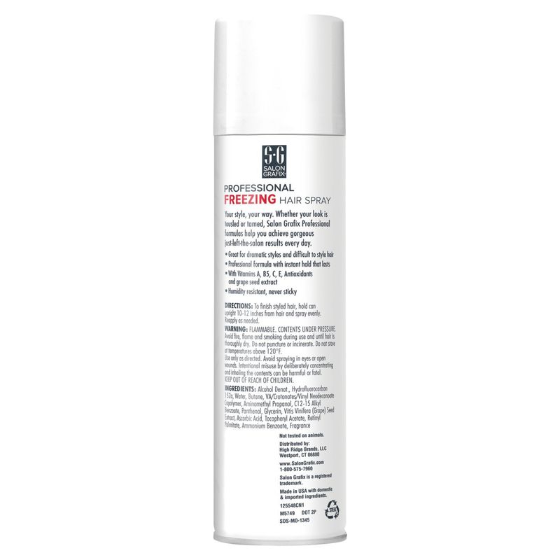 Salon Grafix Mega Hold Professional Freezing Hair Spray, 10 oz
