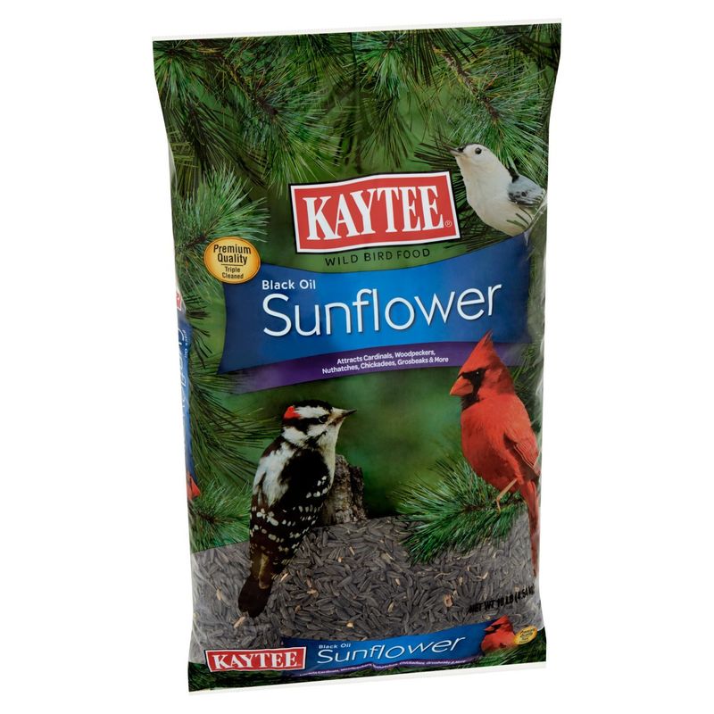 Kaytee Black Oil Sunflower Wild Bird Food, 10 lb