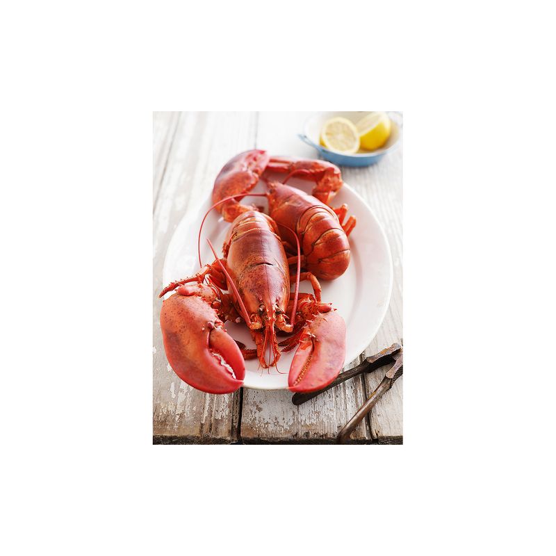 Fresh Seafood Department Lobster Tail, 4 oz