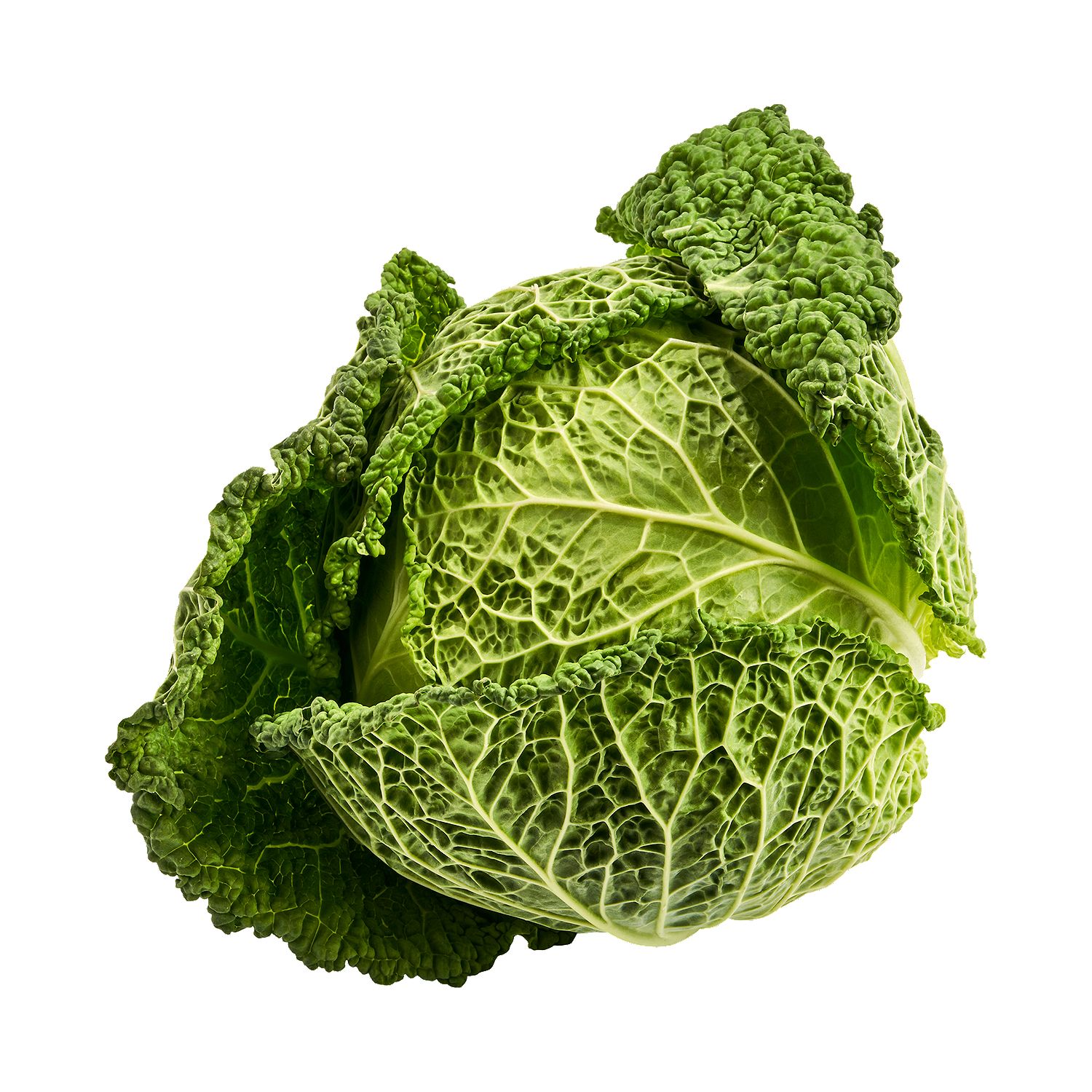 Fresh Savoy Cabbage