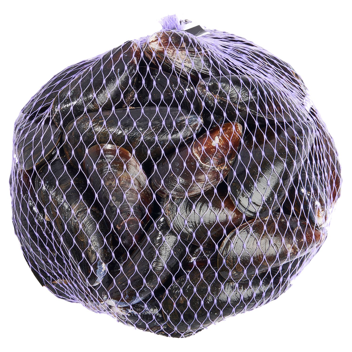 Live Organic Prince Edward Island Mussels