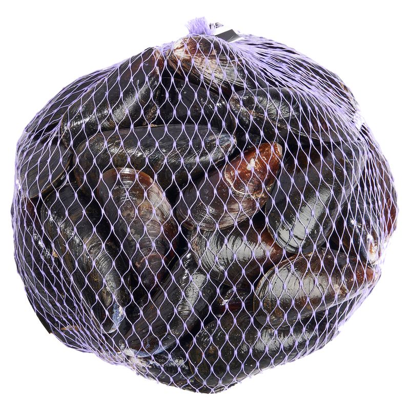 Live Organic Prince Edward Island Mussels