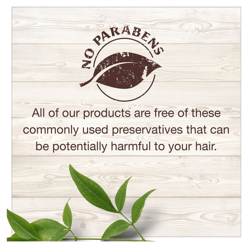 Garnier Whole Blends Shampoo with Moroccan Argan &amp; Camellia Oils Extracts For Dry Hair, 12.5 fl. oz.