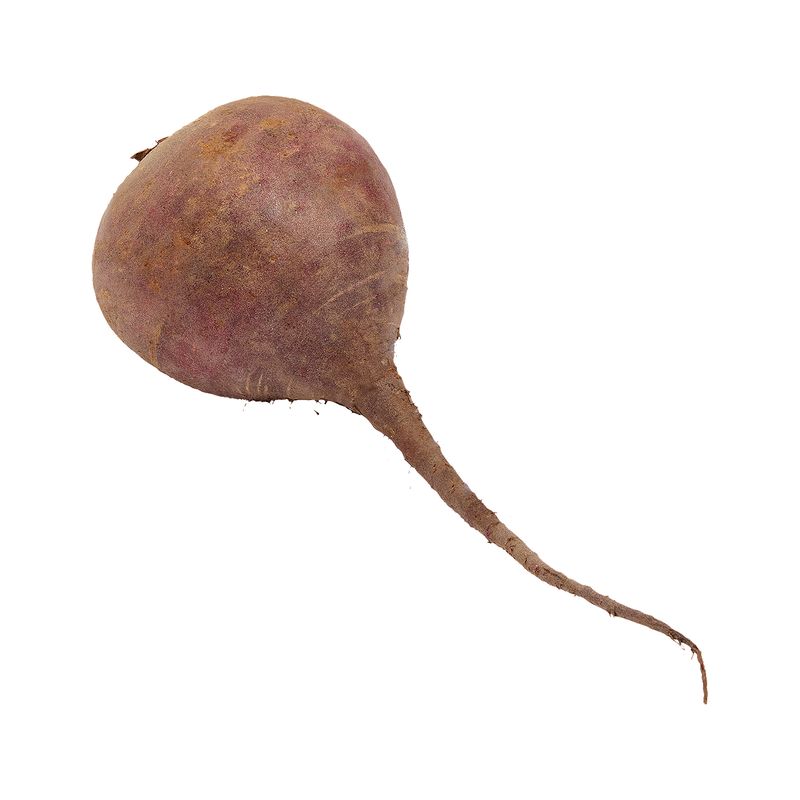 Fresh Beet